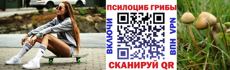 Галлюциногенные грибы прущие грибы  Макарьев 